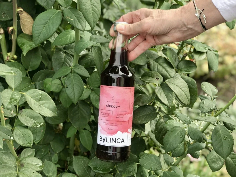 Bylinkový sirup: Šípkový 500ml