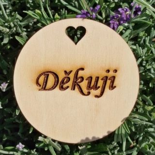 Dřevěná placka - kolečko 7,5 cm - Děkuji